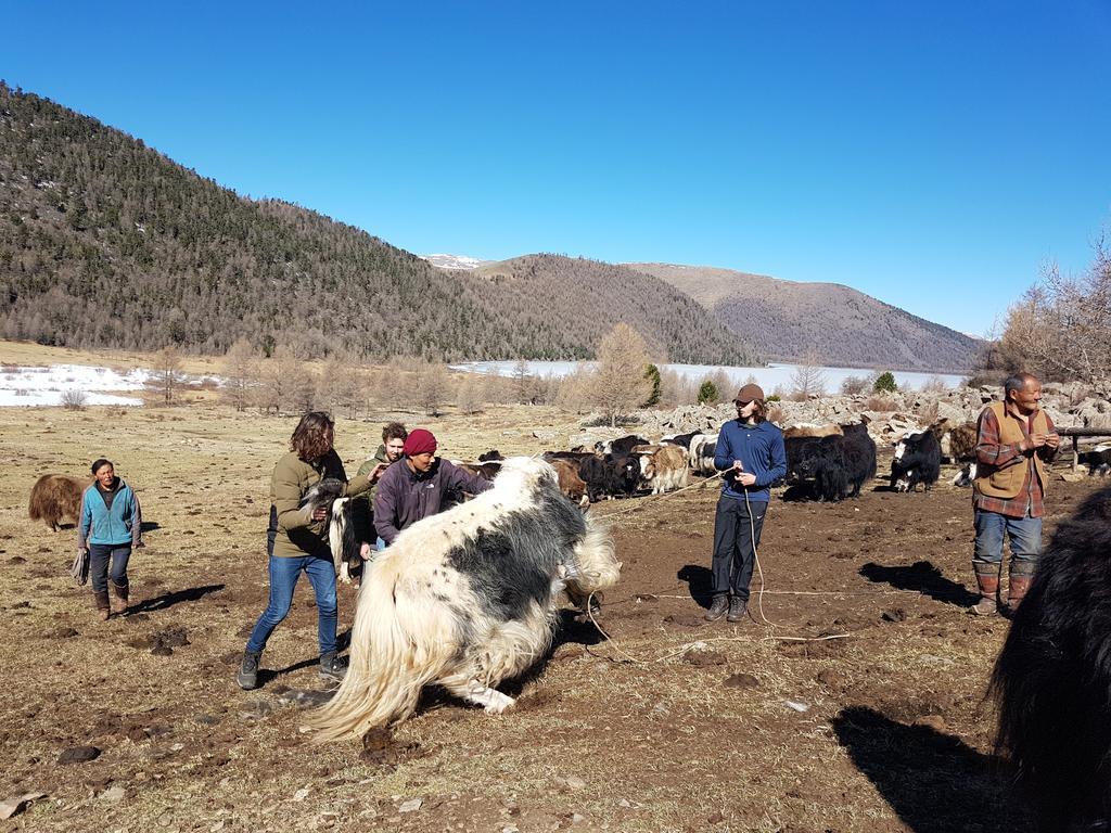 Vast Mongolia Tour & Hostel Ulan Bator Eksteriør bilde