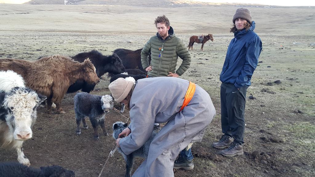 Vast Mongolia Tour & Hostel Ulan Bator Eksteriør bilde
